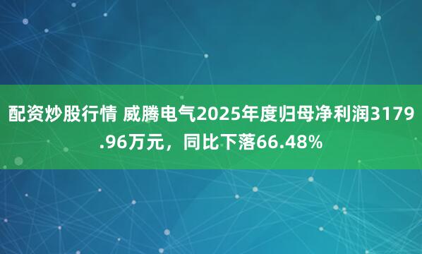 配资炒股行情 威腾电气2025年度归母净利润3179.96万元，同比下落66.48%