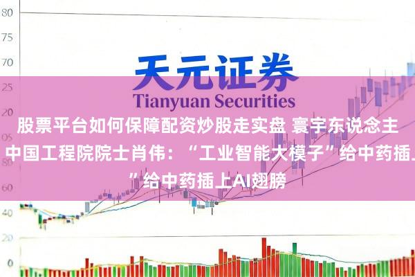 股票平台如何保障配资炒股走实盘 寰宇东说念主大代表、中国工程院院士肖伟：“工业智能大模子”给中药插上AI翅膀